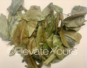 Soursop leaves (contains trace minerals, phytonutrients, vitamins & enzymes)